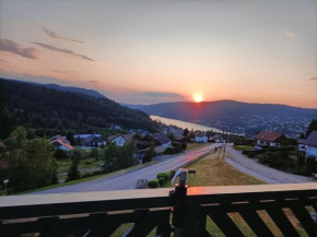 Appartement GERARDMER - Magnifique vue sur le lac - jusqu'à 4 personnes
